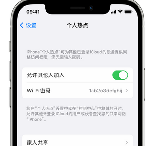 杭锦后apple服务站点分享iPhone上个人热点丢失了怎么办 