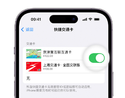 杭锦后apple维修点分享iPhone上更换Apple Pay快捷交通卡手绘卡面 