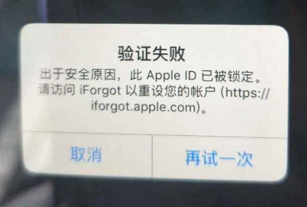 杭锦后iPhone维修分享iPhone上正常登录或使用AppleID怎么办 