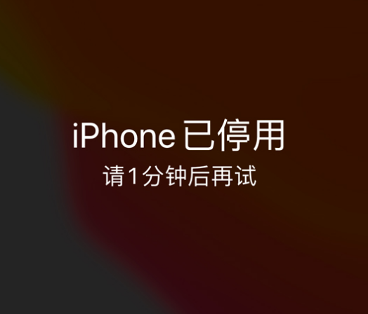 杭锦后苹果手机维修分享:iPhone 显示“不可用”或“已停用”怎么办？还能保留数据吗？ 