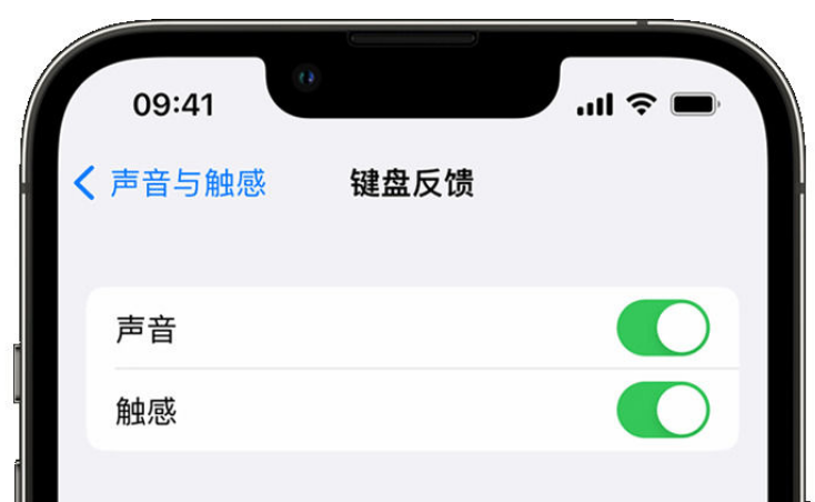 杭锦后苹果手机维修分享iPhone 14触感键盘使用方法 