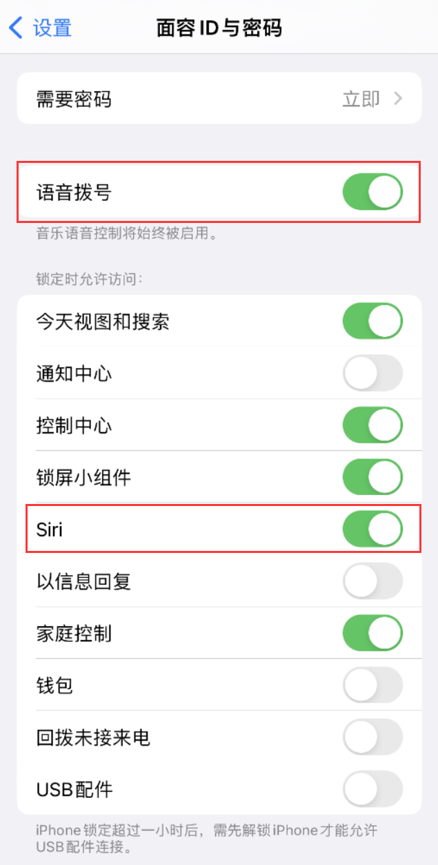 杭锦后苹果维修网点分享不解锁 iPhone 的情况下通过 Siri 拨打电话的方法 