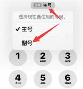 杭锦后苹果14维修店分享iPhone 14 Pro Max使用副卡打电话的方法 