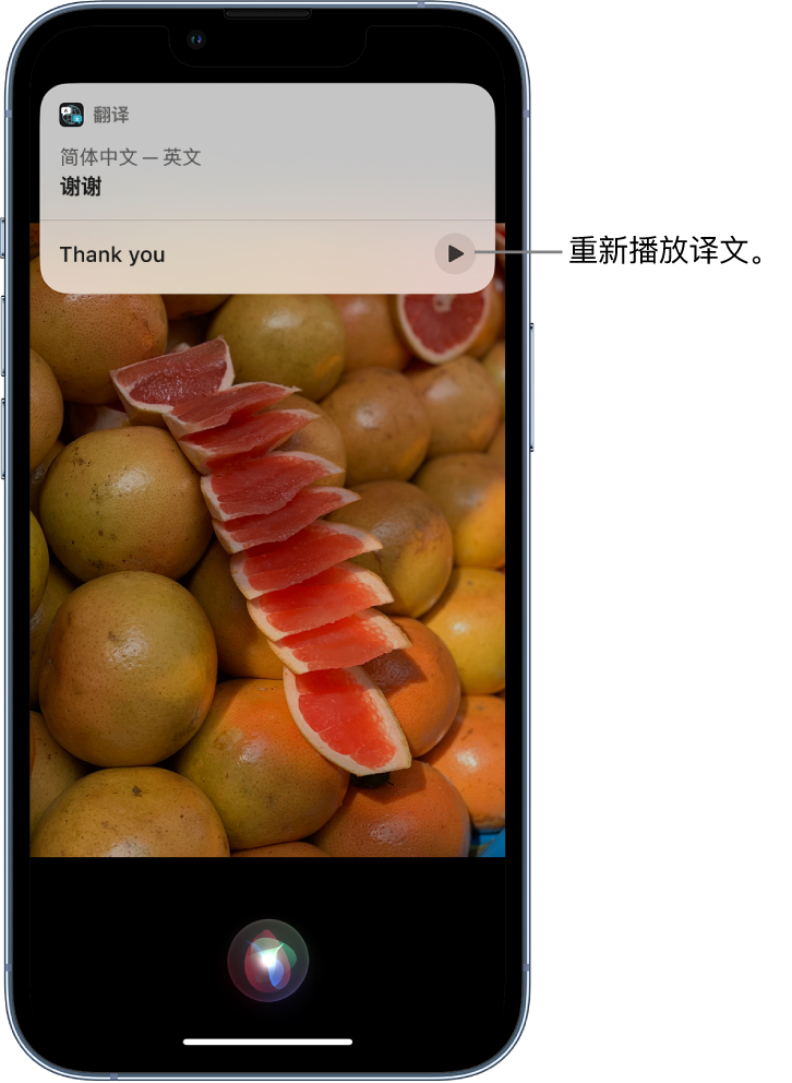 杭锦后苹果14维修分享 iPhone 14 机型中使用 Siri：了解 Siri 能帮你做什么 