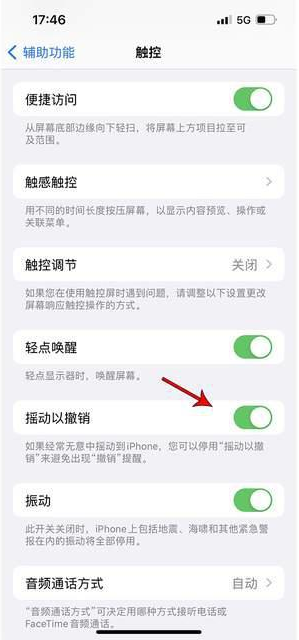 杭锦后苹果手机维修分享iPhone手机如何设置摇一摇删除文字 