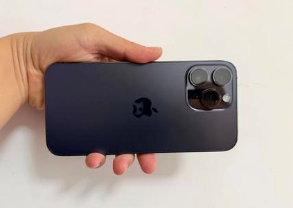 杭锦后苹果维修点分享iPhone 14 Pro Max黑屏少见故障盘点 